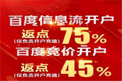 揭秘百度推广：成功案例背后的秘诀